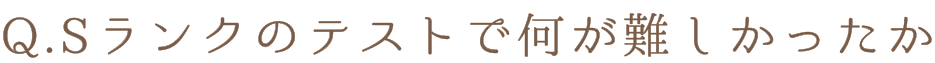 Q.Sランクのテストで何が難しかったか