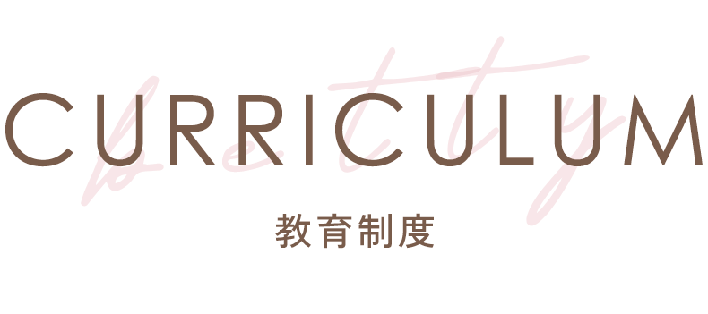 CURRICULUM 教育制度