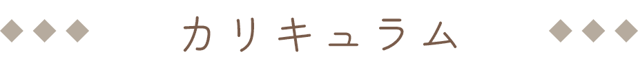 カリキュラム